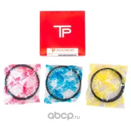 ������ ��������� (1181) TP 42045-3F 0.25 42045025 ����
