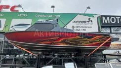 �����. 2024 ���, ����� 6,3��., ��������� ��� ���������, 150��.�., ������ ����