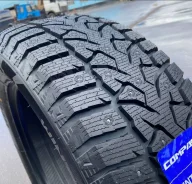 Compasal Winter Stud. ������, ����������, 2024 ���, ����� ����