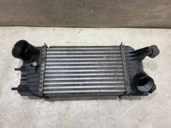 ���������� Nissan Juke F15 ��� �15 ����