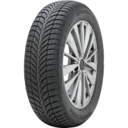 Roadstone Winguard Snow G