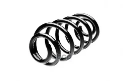 ������� �������� AUDI Standard Springs ���. ST102066F ST102066F ����