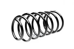 ������� �������� Chevr/Daewo Standard Springs ST107003F ����