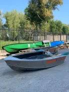 Wellboat-37. 2024 ���, ����� 3,76��., ��������� ���������, 15��.�., ������ ����