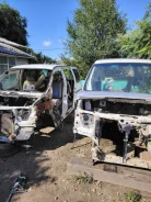 Nissan Elgrand ����