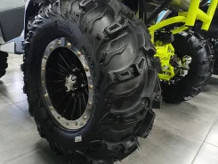 Stels Guepard 850. ��������, ��, ��� ������� ����