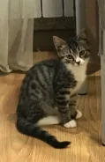 �����. ����