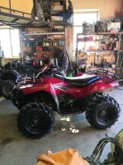 Kawasaki Brute Force 750. ��������, ��, �� ����