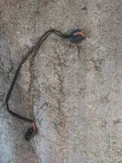 ������� ��������� ���������. ����