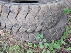 Hilo. �����������, 2019 ���, �/�, ����� 25 % ����