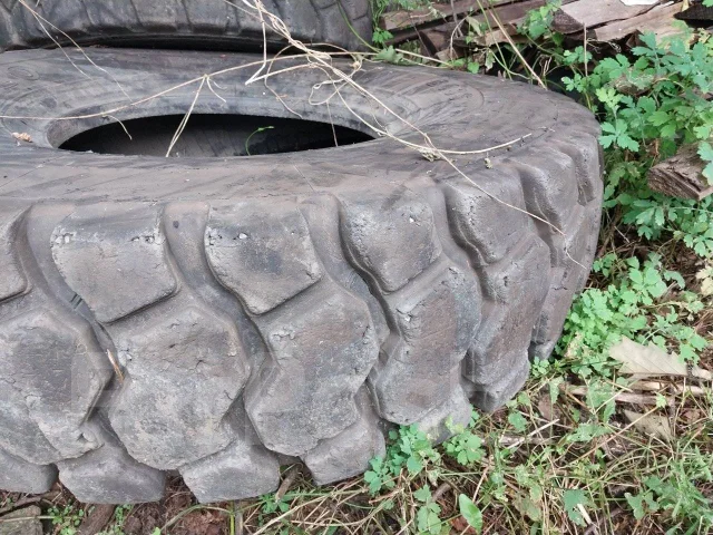 Hilo. �����������, 2019 ���, �/�, ����� 25 % ����
