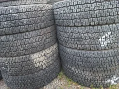 Dunlop Dectes SP080. ������, ��� �����, �/�, ����� 10 % ����