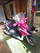 Irbis. 50����. ��., ��������, ���������, ������ �� �� ����