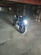 Suzuki GSX-R 1000. 999����. ��., ��������, ���������, ������ �� �� ����
