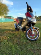 Stels Skif 50. 50����. ��., ��������, ���������, ������ �� �� ����