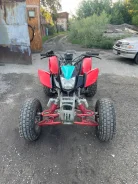 Irbis ATV250S. ��������, ��, �� ����