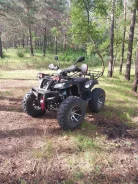 Yamaha Grizzly 250. ��������, ��� ���\���, �� ����