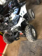 Grizzly Aerox. ��������, ��� ���\���, �� ����