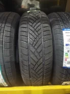 LingLong GREEN-Max Winter HP. ������, ��� �����, 2025 ���, ����� ����