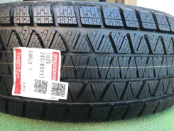 Bridgestone Blizzak DM-V3. ������, ��� �����, ����� ����