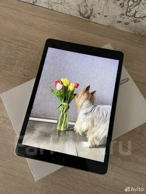 Apple iPad 9. 10.2 ������, ������ 64 �� ����