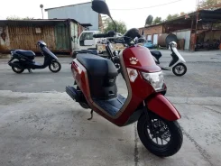 Honda Dunk. 49����. ��., ��������, ��� ���, ��� ������� ����