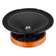 DL Audio ����