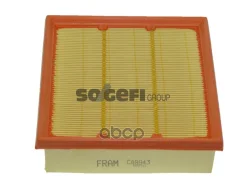 ������ ���������/FRAM Fram ���. CA9943 CA9943 ����