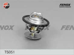 ��������� (Ford Escort/Mondeo/Focus 1.3-2.9i/1.8-2.5D/TDi 88) TS051 ����