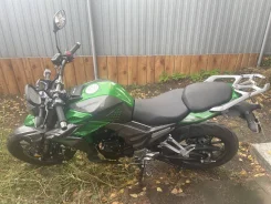 Regulmoto T-Leopard 300. 300����. ��., ��������, ���, � �������� ����