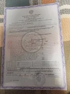 ����-�. 1973 ���, ����� 5,5��., ��������� ������������, 75��.�., ������ ����