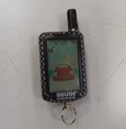 Bruin. ����