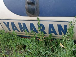 Yamaran. 2008 ���, ����� 3��., ��������� ��� ���������, 10��.�., ������ ����