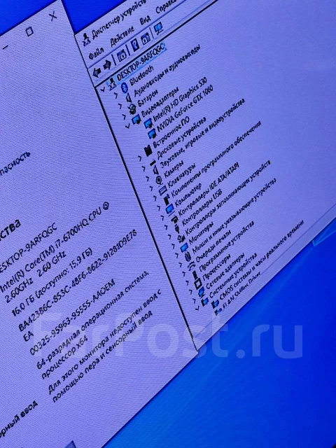 DNS ����