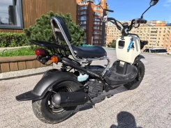 Honda Zoomer. 49����. ��., ��������, ��� ���, ������ �� �� ����