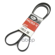 ������ ������������ Gates 5PK1650 5PK1650 ����