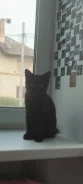 �����. ����