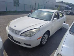 Toyota Windom ����