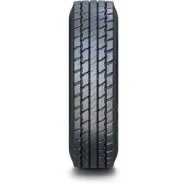 ���� Forza REG D. �����������, 2024 ���, ����� ����