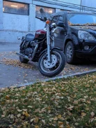 Triumph Speedmaster. 865����. ��., ��������, ���������, ������ �� �� ����