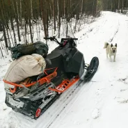 Irbis Tungus. ��������, ���� ���, � �������� ����