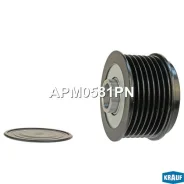 ���� �������� ���������� [APM0581PN] APM0581PN ����