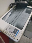 ��� ��������. ����