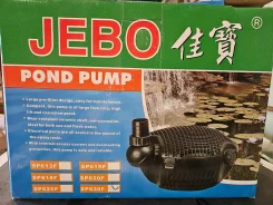 ���������. ����