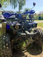 Avantis Hunter 8 New. ��������, ��� ���\���, � �������� ����