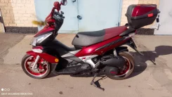 Irbis Grace. 150����. ��., ��������, ���������, ������ �� �� ����