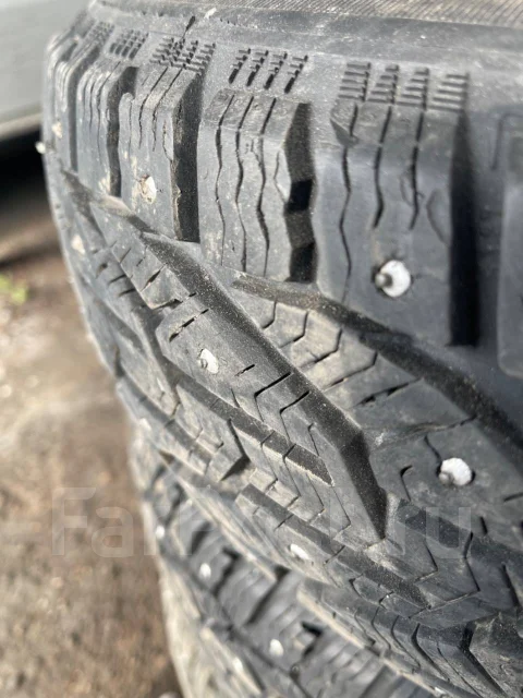 Tigar Ice. ������, ����������, 2020 ���, �/�, ����� 5 % ����