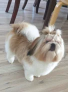 ��-���. ����