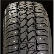 Tigar CargoSpeed Winter. ������, ����������, ����� ����