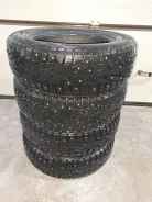 Nordman 7. ������, ����������, 2022 ���, ����� ����